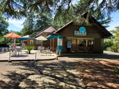 会場:砧公園パークス美術館前店