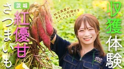 YouTube番組「ゆるふわたいむ」