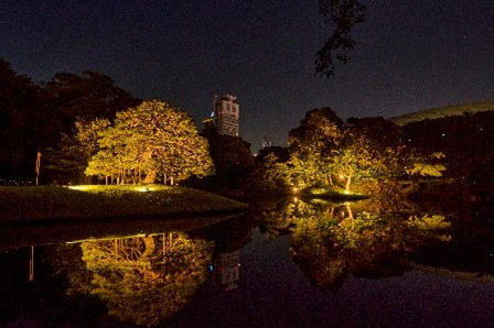 園内ライトアップ（イメージ）
