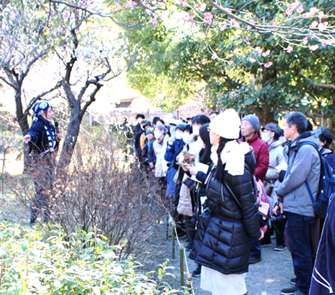 庭さんぽ（昨年度の様子）