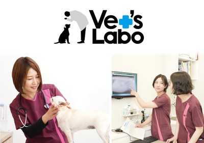 Vet’s Laboは、動物病院の臨床現場で得られる気づきを商品開発につなげる、臨床獣医師開発ブランドです。