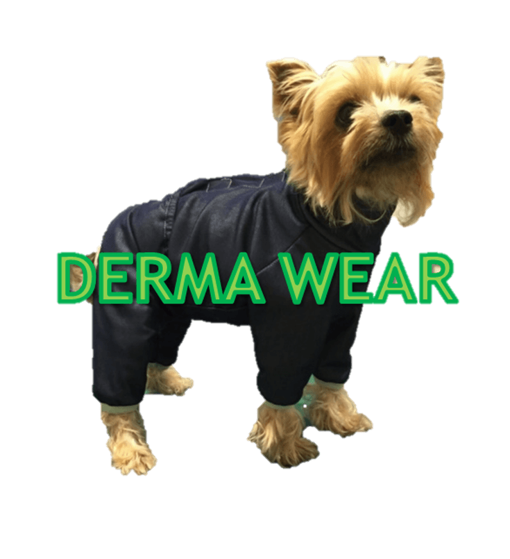 DERMA WEAR（ダーマウェア）