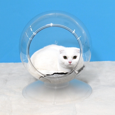 くつろぐ猫ちゃん(1)