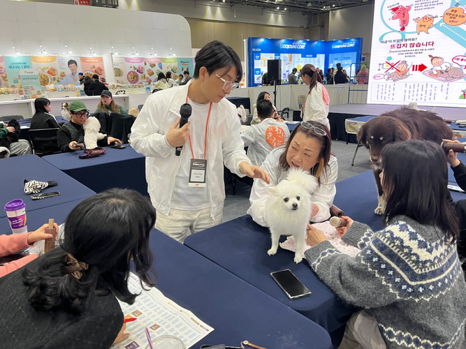 韓国MEGAZOOセミナー風景