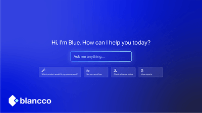 Blancco Blue - トップ画面