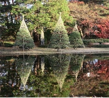 雪吊り(過去の様子)