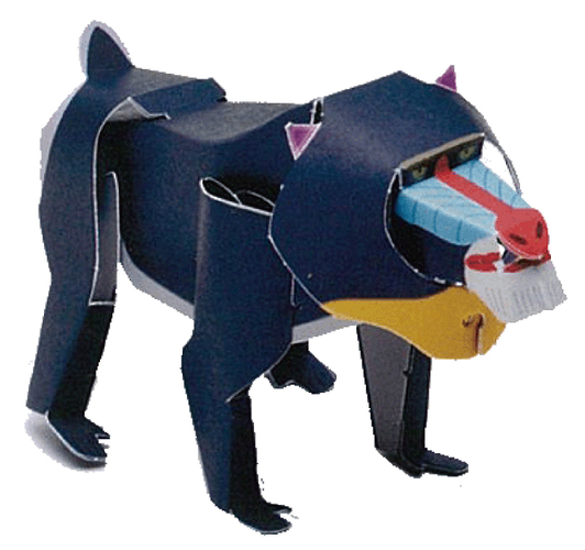 MOMOテラス_わくわくワークショップ_くまざわ書店(1)