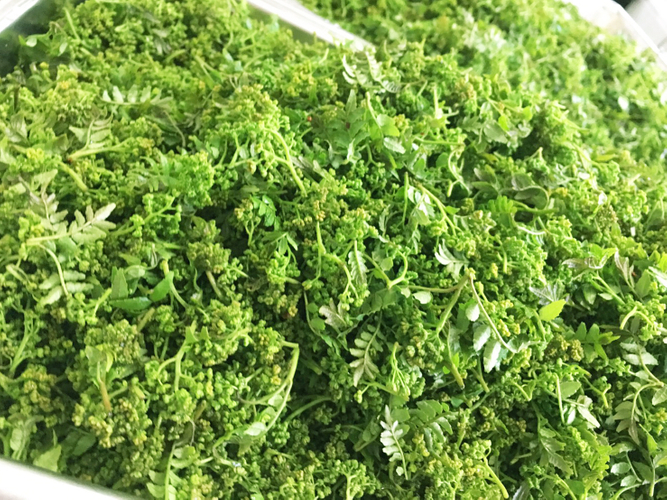 〜食通たちが好んで食べる&ldquo;花山椒&rdquo;を使用〜