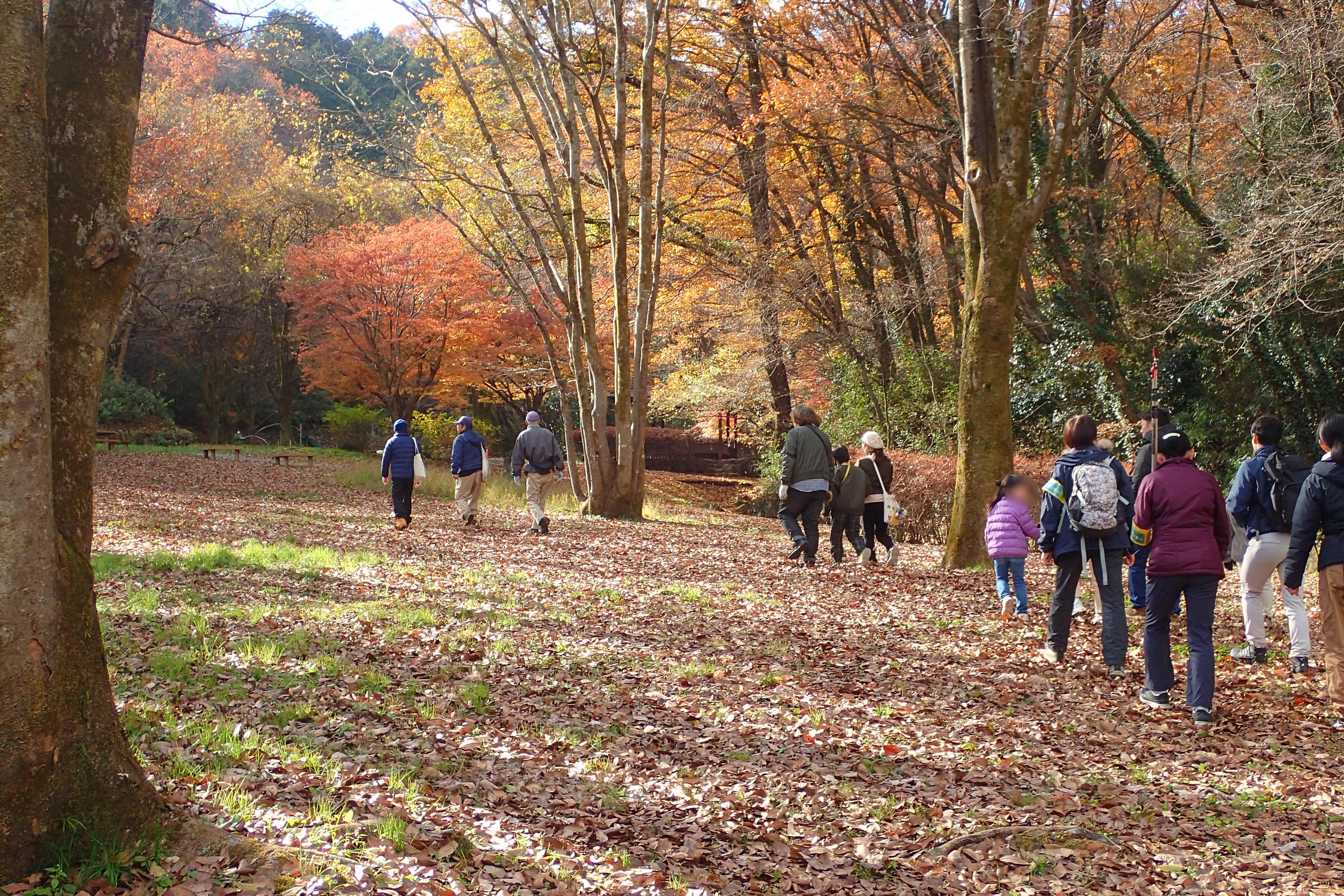 みんなで材料探しに出発！　