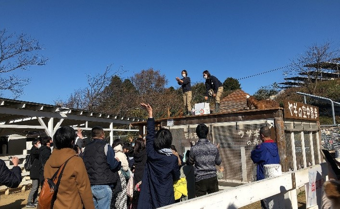 ▲新春ミカンまき大会