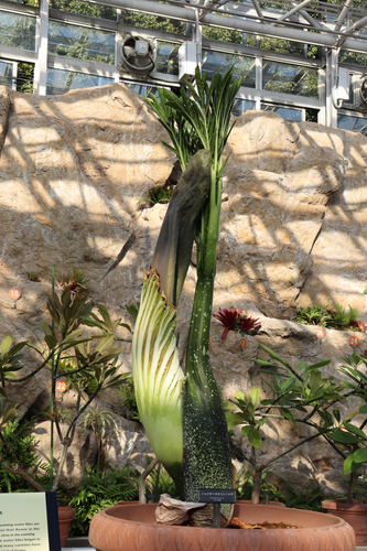 2022年12月16日撮影