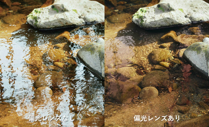 偏光レンズ 比較