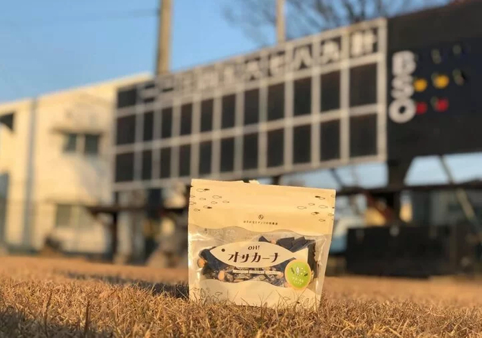 応援オサカーナシーン