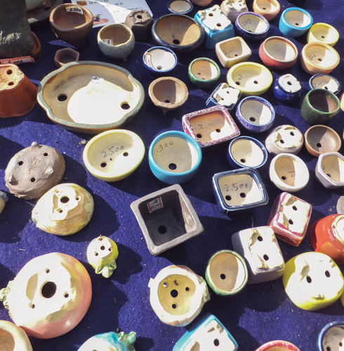 室内で楽しむときには「地板＝盆栽などの下に敷く板」やコースターなど敷物を使って飾る