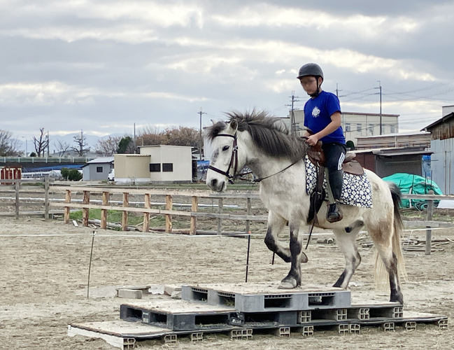 キッズ　ウエスタントレイル乗馬