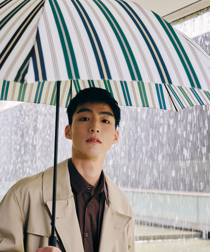 ベーシックジャンプアンブレラ オルタネイトストライプ（税込&yen;2,640）