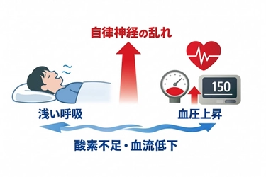 高血圧の"新しい原因構造"を新たに確認──睡眠時無呼吸症候群SASが血圧を押し上げる体内環境の変化