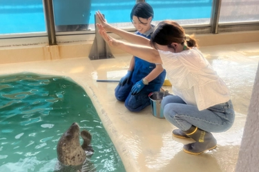 魚津水族館、初の試み！七夕の“５色の短冊”にちなんだカラフルな水生生物が登場「七夕展『うおすいで夢叶えちゃおう！2026』」を6月1日より開催！