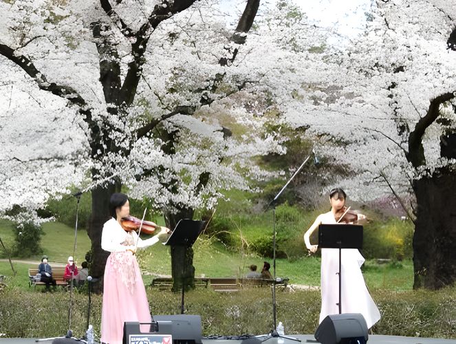 さくらコンサート（令和７年撮影）
