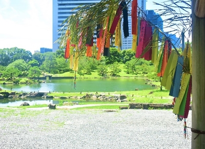 七夕飾り(過年度の様子:旧芝離宮恩賜庭園)
