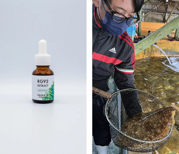 RG92エキスと、水産養殖現場での活用イメージ（画像提供：株式会社SARABiO温泉微生物研究所）