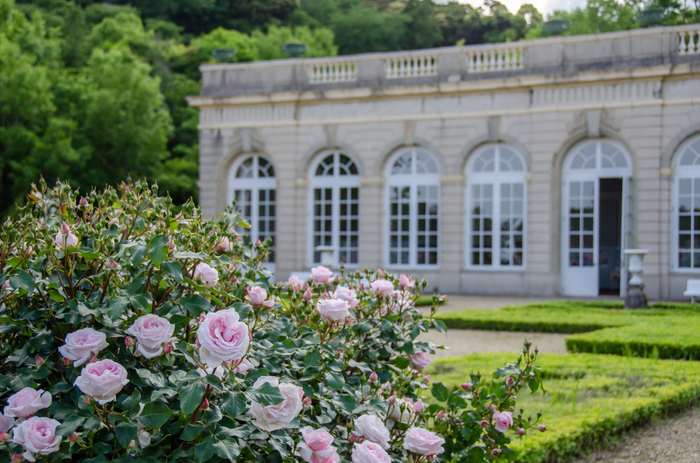 Photo by PIXTA　※画像はイメージです