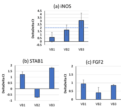 VBがマクロファージ機能に及ぼす作用(mRNA)(図5)