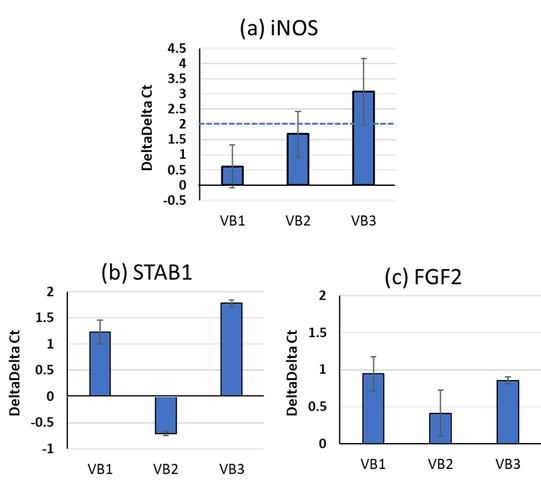 VBがマクロファージ機能に及ぼす作用(mRNA)(図5)