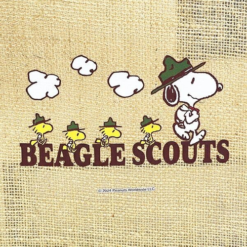 スヌーピーバッグ