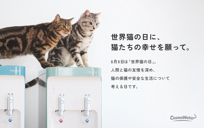 【世界猫の日に、猫たちの幸せを願って。】