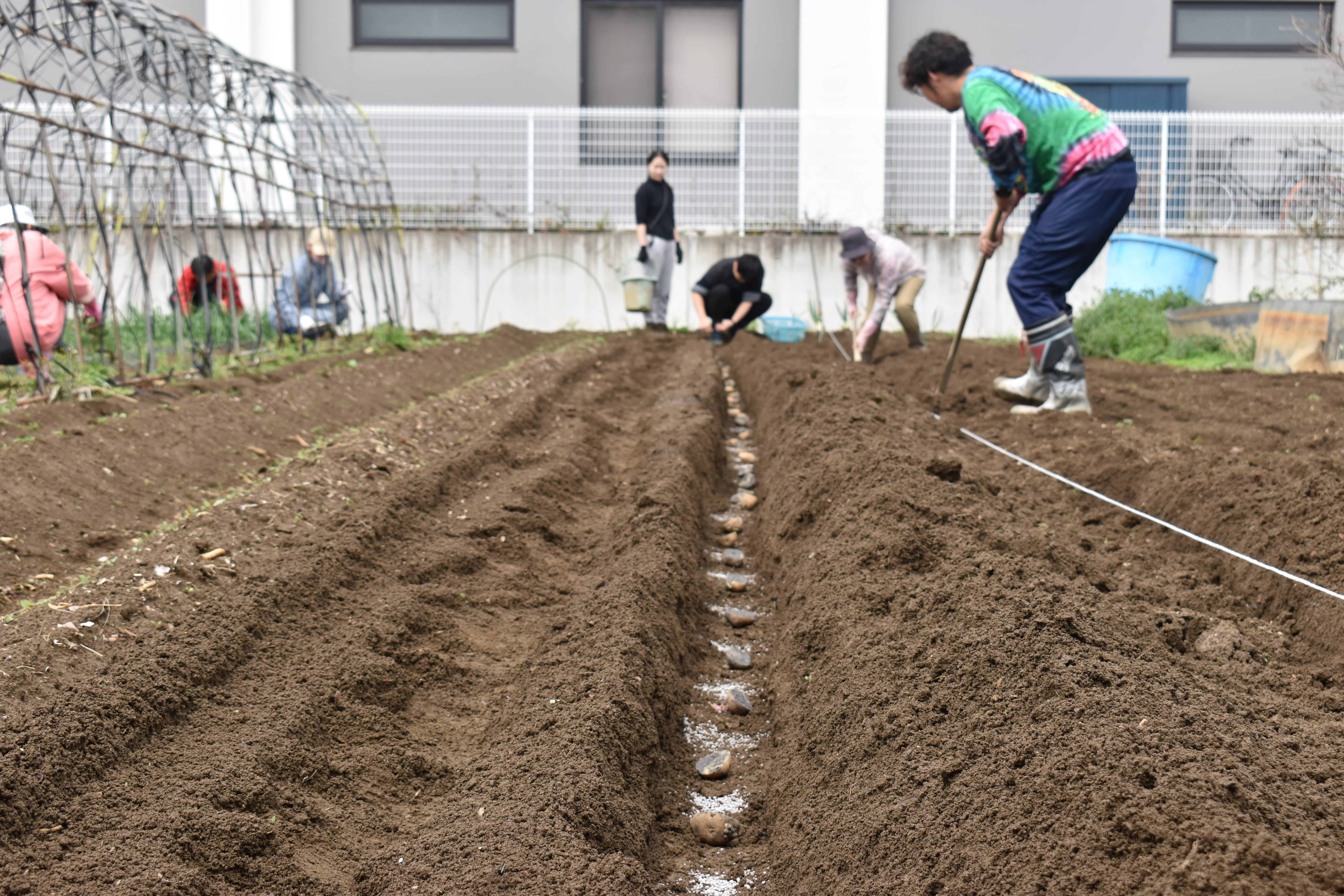 地域交流拠点「こうのすえん」での収穫の様子。子どもから高齢者まで多世代が関わる地域の居場所となっている。