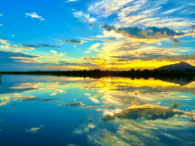 フォトコンテスト2023スマホ部門グランプリ作品