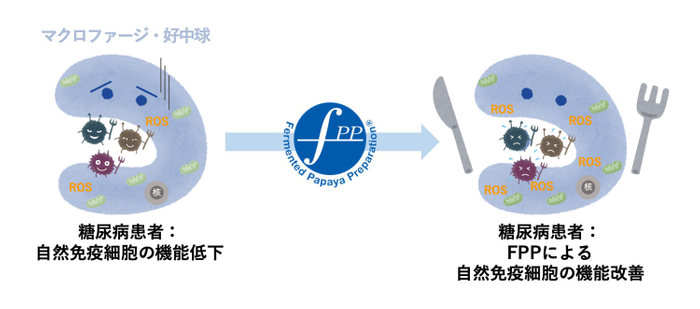 図1. FPPによる呼吸バーストの改善