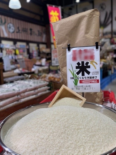 目方でドン！・白米こしひかり