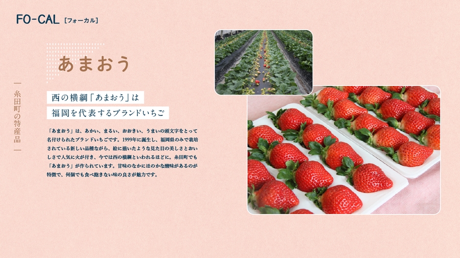「旅色FO-CAL」福岡県・糸田町特集 糸田町の特産品
